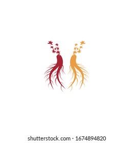 Ginseng vector icon illustration design template