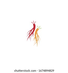 Ginseng vector icon illustration design template