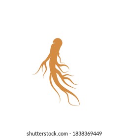 Ginseng vector icon illustration design template