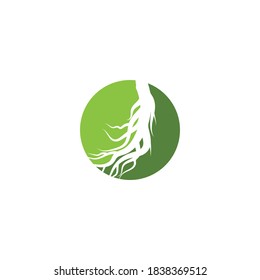 Plantilla de diseño de ilustración de icono de vector Ginseng
