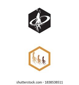 Ginseng vector icon illustration design template