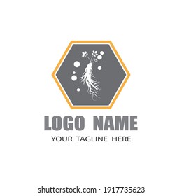 Ginseng vector icon illustration design template