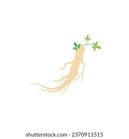 Ginseng vector icon illustration design template