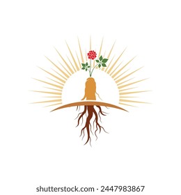 Ginseng vector icon illustration design template