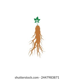 Ginseng vector icon illustration design template