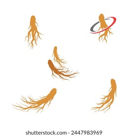 Ginseng vector icon illustration design template