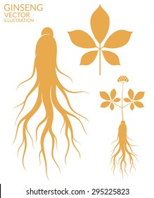 Ginseng. Vector Illustration EPS10. Ginseng Root And Leaf On White Background