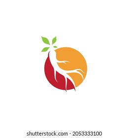 Ginseng Vector illustration. Ginseng root logo symbol