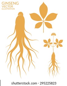 Ginseng vector. Isolated ginseng root and leaf on white background. Natural food sign