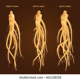 Ginseng Vector Set , Growth