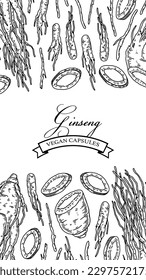 Ginseng vertical design. Hand drawn botanical vector illustration in sketch style. Can be used for packaging, label, badge. Herbal medicine background