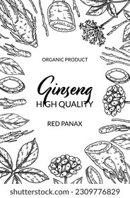 Ginseng vertical design. Hand drawn botanical vector illustration in sketch style. Can be used for packaging, label, badge. Herbal medicine background