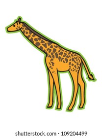 Giraffe