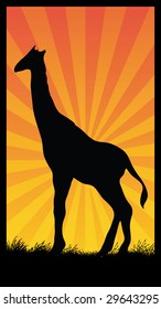 giraffe