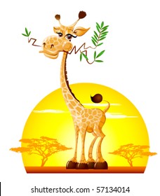 Giraffe