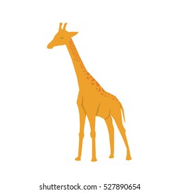 giraffe african animal icon vector illustration graphic design