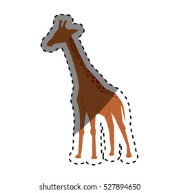 giraffe african animal icon vector illustration graphic design