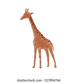 giraffe african animal icon vector illustration graphic design