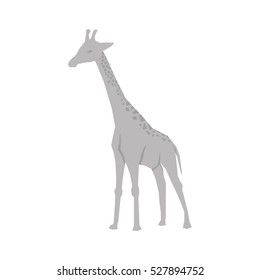 giraffe african animal icon vector illustration graphic design