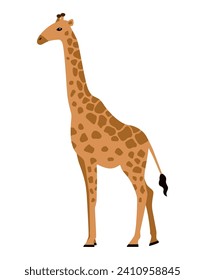 Giraffe, African animal. Isolated vector illustration for your design.