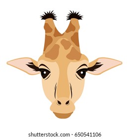 giraffe african animal safari zoo vector illustration