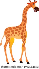 Giraffe African animal vector illustration isolated on white background