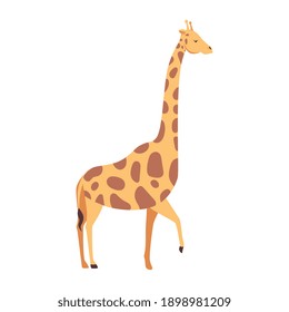 giraffe african animal wild character vector illustration design