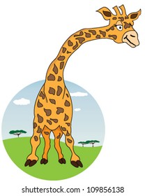 Giraffe with African nature on background