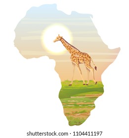 Giraffe in the African savannah. Realistic vector landscapes in the form of a map of the continent of Africa. The nature of Africa. Reserves and national parks.