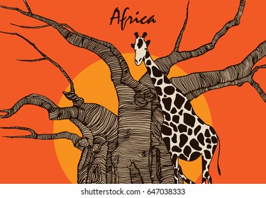 Giraffe and African tree on a sunset background. Funny cartoon character. Vector illustration Africa.