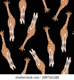 Giraffe animal. Cartoon exotic seamless illustration repeating pattern on black background. Floral wallpaper.