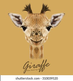 Giraffe animal face. Vector cute head of African giraffe. Realistic savannah wild fur funny giraffe baby portrait isolated on tan background.