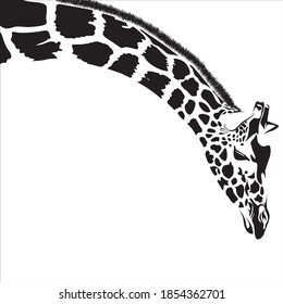 Giraffe animal illustration, nature conservation vector