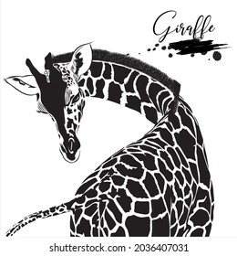 Giraffe, animal nature conservation, vector illustration 