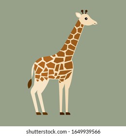giraffe animal savanna vector on green background wildlife beast