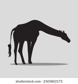 Giraffe animal vector clip art