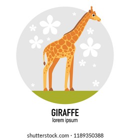 Giraffe animal vector flat illustration