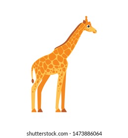 Giraffe animal vector flat illustration
