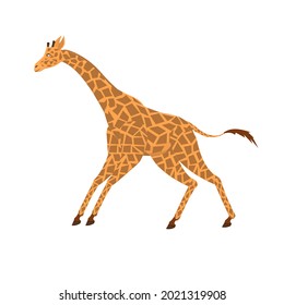 Giraffe. Animal giraffe, vector illustration