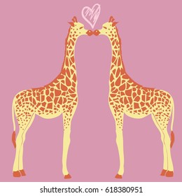 giraffe animal, vector, illustration