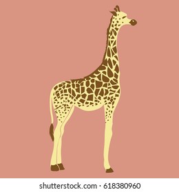 giraffe animal, vector, illustration