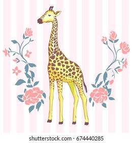 giraffe, animal , vector, illustration