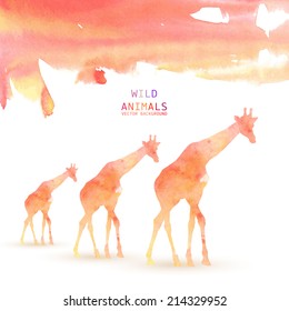 Giraffe Animal Watercolor Background