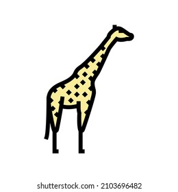giraffe animal in zoo color icon vector. giraffe animal in zoo sign. isolated symbol illustration