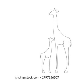 Giraffe animals on white background, african design vector illustration