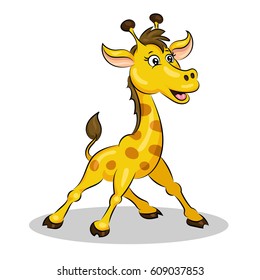 giraffe baby