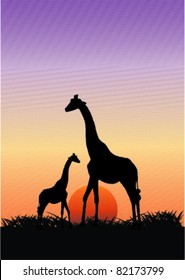 giraffe with baby