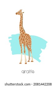 Giraffe in the background with a brushstroke. Vector image of a flat animal. Isolated on white background