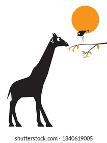 Giraffe and bird cartoon illustration isolated on white background, vector. Giraffe and bird silhouette on branch on sunset. Fun childish art design, wall decals, natural artwork