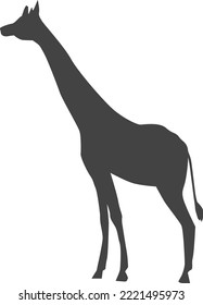 Giraffe black silhouette. Safari animal symbol. Zoo icon